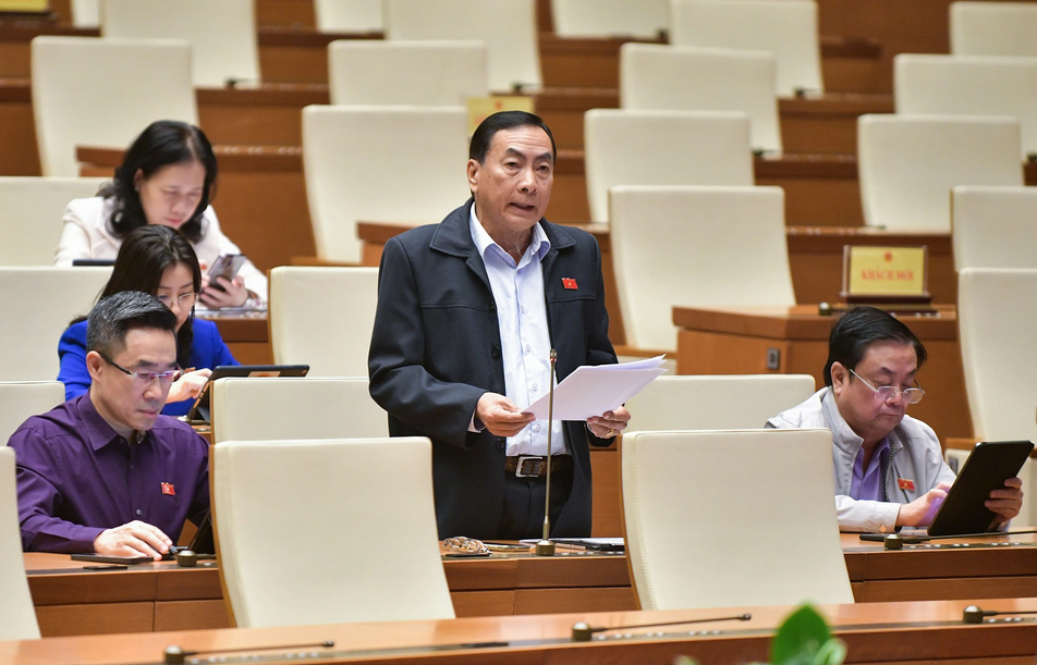  Đề nghị xử lý hình sự với người trúng đấu giá rồi bỏ cọc 